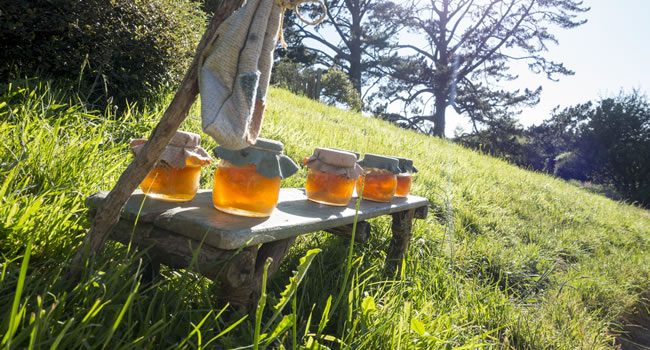 Quemaduras Del Sol: La Miel Como Remedio Natural